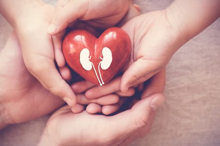 hands holiding red heart with kidney, world kidney day